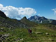 34 Alle spalle Monte delle galline e Pizzo Arera